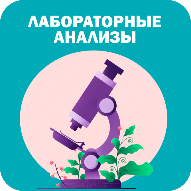 Главная